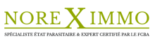 Normandie Expertises: Expert merule, Diagnostic merule, Expertise xylophage, champignon lign