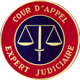 Expert judiciaire