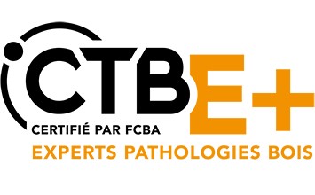Devis Charpente Propriétaire Zones Termites à Rouen et Caen en Normandie